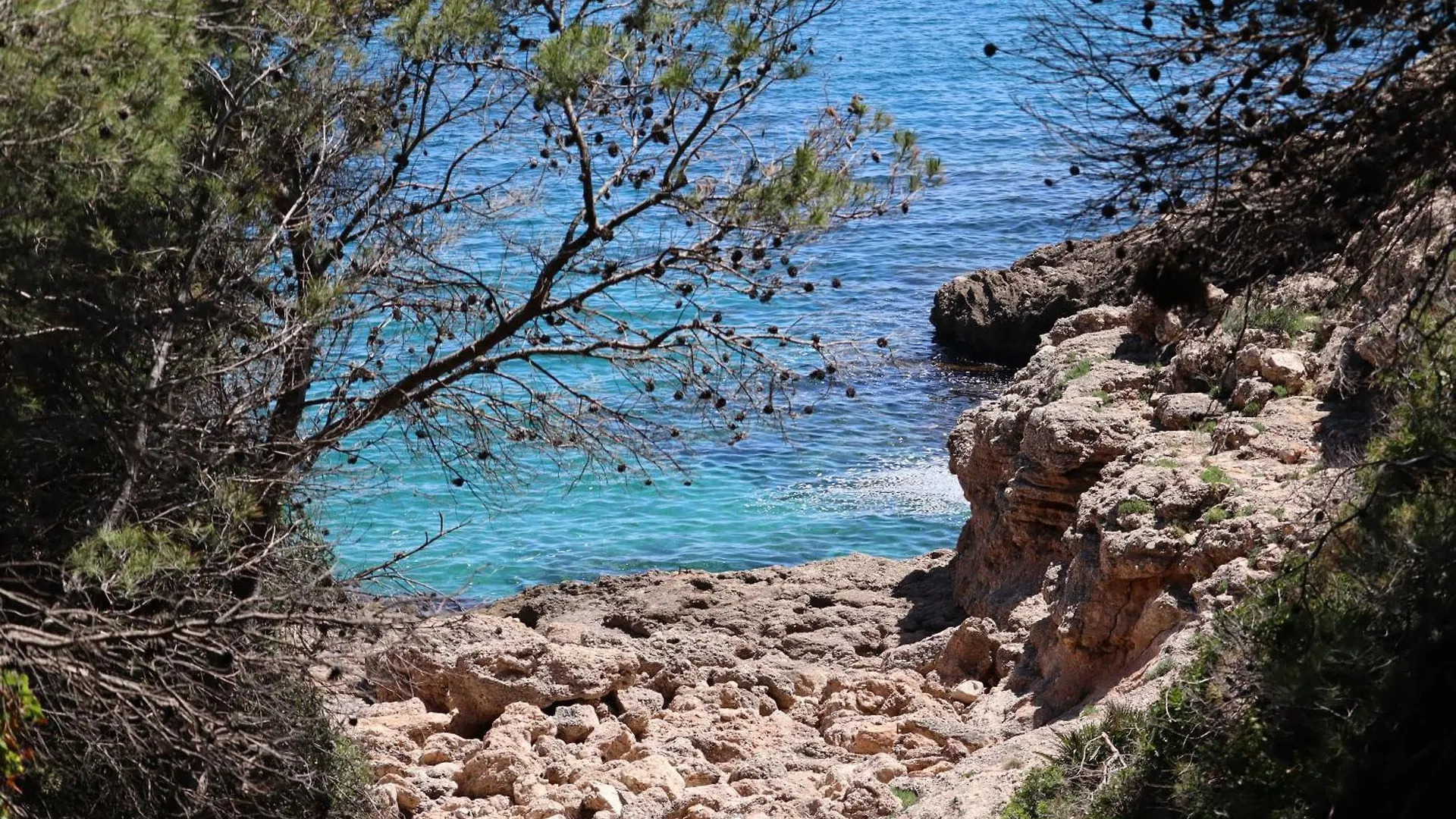 Holiday home Les Cases Del Vent I Calafat Spain
