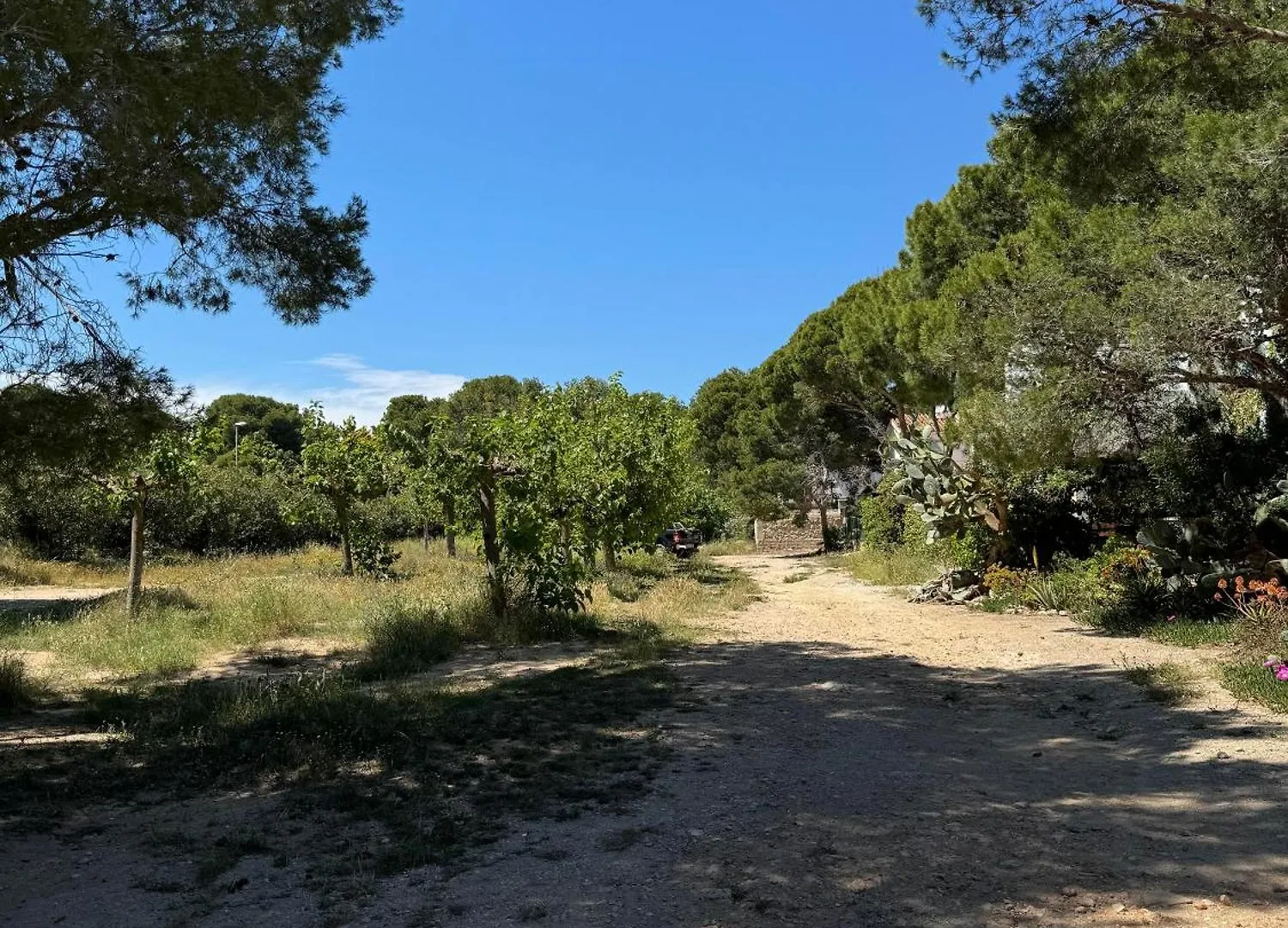 Les Cases Del Vent I Calafat Holiday home